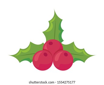 leaf holly, leaves with berries on white background vector illustration design