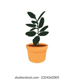 Leaf houseplant garden flowerpot tree