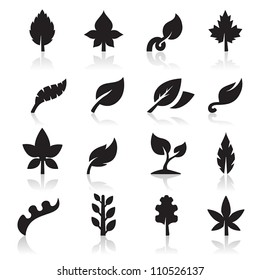 Leaf Icon