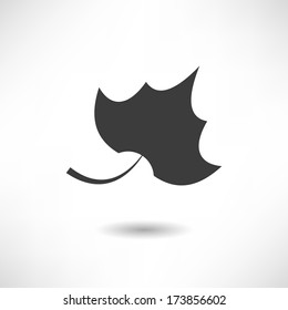 Leaf icon