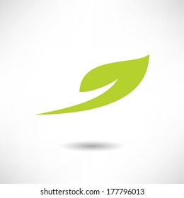 Leaf icon