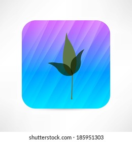 leaf icon