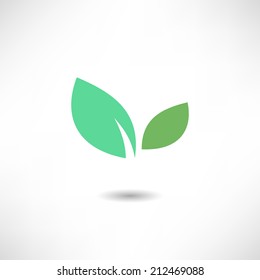 Leaf icon