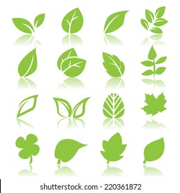 leaf icon