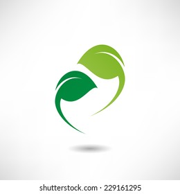 Leaf icon