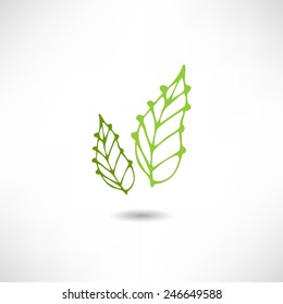 Leaf icon