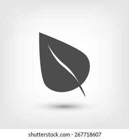 leaf icon