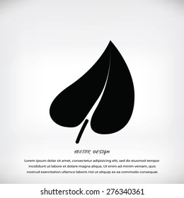 leaf icon