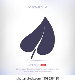 leaf icon
