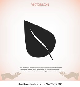 	leaf icon