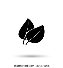 leaf icon