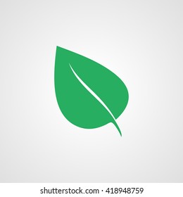 	leaf icon