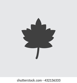 Leaf Icon