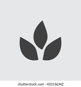 Leaf Icon