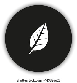 Leaf icon.