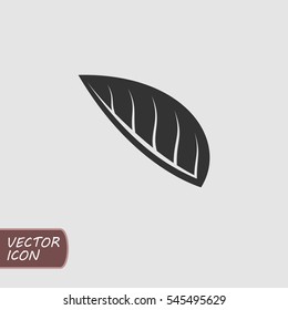 Leaf Icon