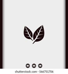 Leaf icon.