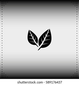 Leaf icon.