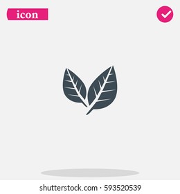 Leaf icon.