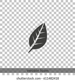 Leaf icon.