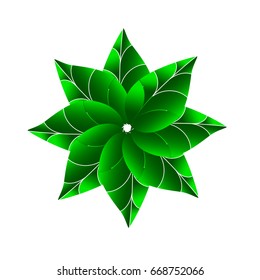 leaf icon