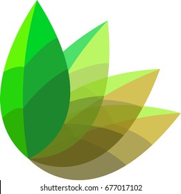 leaf icon
