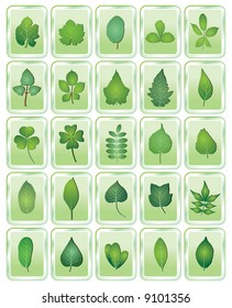 leaf icon