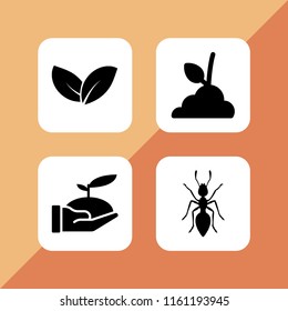 leaf icon. 4 leaf set with ant, sprout, tree and plant vector icons for web and mobile app