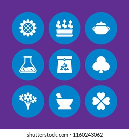 leaf icon. 9 leaf set with plants, sunflower, clover and ecology and environment vector icons for web and mobile app