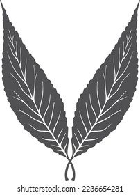 Leaf icon, abstract leaves icon on white background