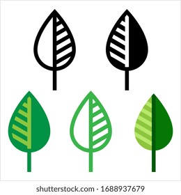 Leaf Icon, Appendage Growing From The Stem Of A Plant, Organ Of A Vascular Plant Vector Art Illustration