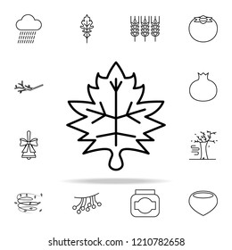 leaf icon. autumn icons universal set for web and mobile