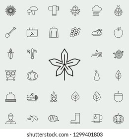 leaf icon. autumn icons universal set for web and mobile