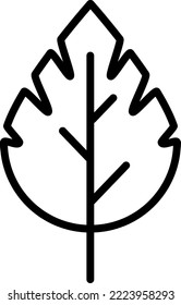 Leaf icon. Black contour linear silhouette. Side view. Vector simple flat graphic illustration. Isolated object on a white background.