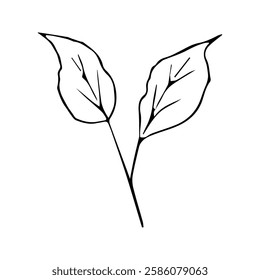 Leaf Icon. Black Leaves Vector Illustration. Green Plant Leaf Symbol. Organic Foods and Vegetables.