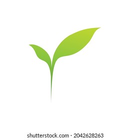 leaf icon with branching shape with gradient color