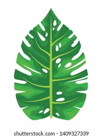 leaf icon cartoon vector illustration graphic design