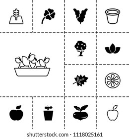 Leaf icon. collection of 13 leaf filled and outline icons such as beet, plant in pot, clover, apple, pot for plants, lemon, tree. editable leaf icons for web and mobile.