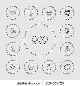 Leaf icon. collection of 13 leaf outline icons such as potato, apple, mulberry, clover, rose, beet, corn, tree, bamboo, grape. editable leaf icons for web and mobile.