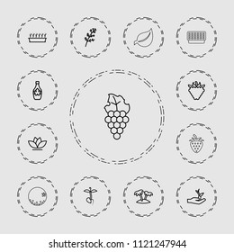 Leaf icon. collection of 13 leaf outline icons such as deel, maple syrup, plant in pot, flower, raspberry, sprout, palm, plant on hand. editable leaf icons for web and mobile.
