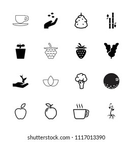 Leaf icon. collection of 16 leaf filled and outline icons such as hand with seeds, plant in pot, plant on hand, berry, apple. editable leaf icons for web and mobile.
