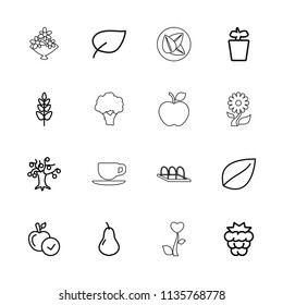 Leaf icon. collection of 16 leaf outline icons such as pear, mulberry, apple, money tree, plant in pot, plant, cauliflower, tea cup. editable leaf icons for web and mobile.