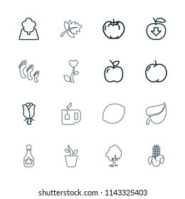 Leaf icon. collection of 16 leaf outline icons such as apple, rose, apple download, tree, corn, tea cup, maple syrup, family footprint. editable leaf icons for web and mobile.