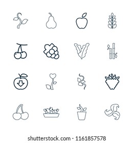 Leaf icon. collection of 16 leaf outline icons such as cherry, grape, apple, raspberry, apple download, plant, pear, spinach, bamboo. editable leaf icons for web and mobile.