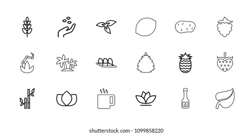 Leaf icon. collection of 18 leaf outline icons such as plant, hand with seeds, lotus, bamboo, flower, pineapple, berry, potato. editable leaf icons for web and mobile.
