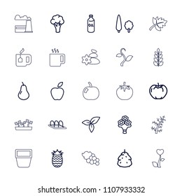 Leaf icon. collection of 25 leaf outline icons such as berry, pear, apple, cauliflower, oil, bouquet flower, tree, pineapple, plant. editable leaf icons for web and mobile.