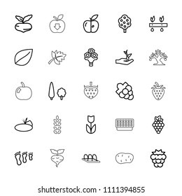 Leaf icon. collection of 25 leaf outline icons such as mulberry, grape, beet, tree, grape, flower, family footprint, apple, plant. editable leaf icons for web and mobile.