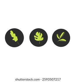 Leaf icon collection. Leaf icon on isolated background. Green leaves collection. Design elements for natural, eco-friendly labels. Hand drawn vector illustration