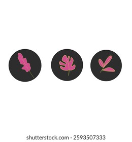 Leaf icon collection. Leaf icon on isolated background. Green leaves collection. Design elements for natural, eco-friendly labels. Hand drawn vector illustration