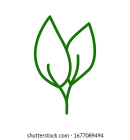 leaf icon collection, trendy style